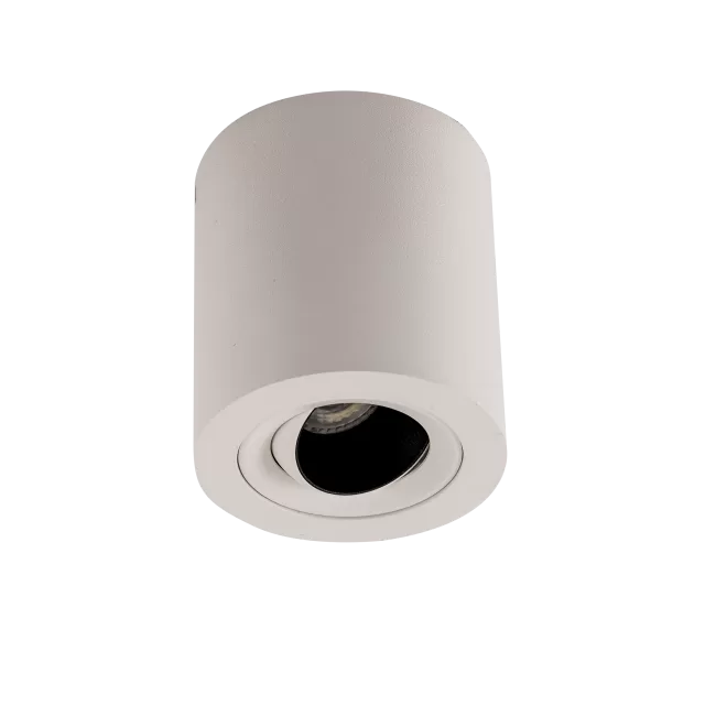 Aplique de techo cilíndrico orientable antideslumbrante